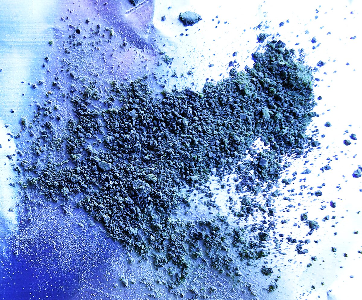 Le più antiche tracce del blu indaco su macine di 34.000 anni fa: nuovi scenari sull’uso delle piante nel Paleolitico