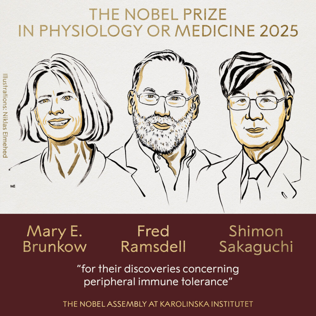premio nobel 2025 medicina