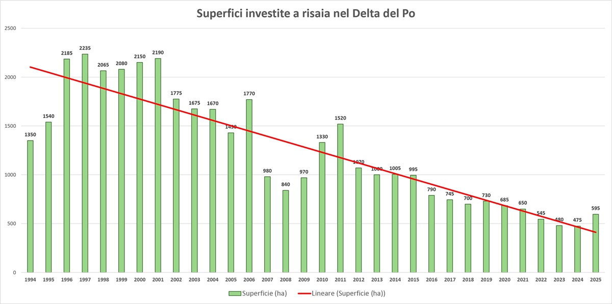 risaie delta po