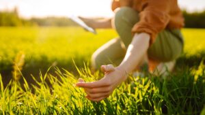 servizio civile agricolo ambientale