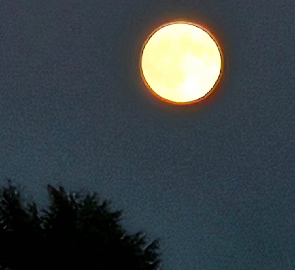 superluna cairoli
