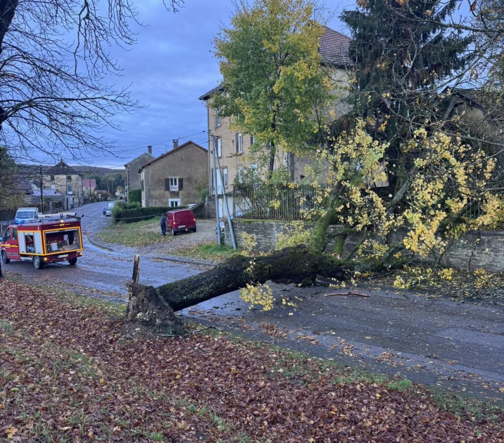 tempesta benjamin francia