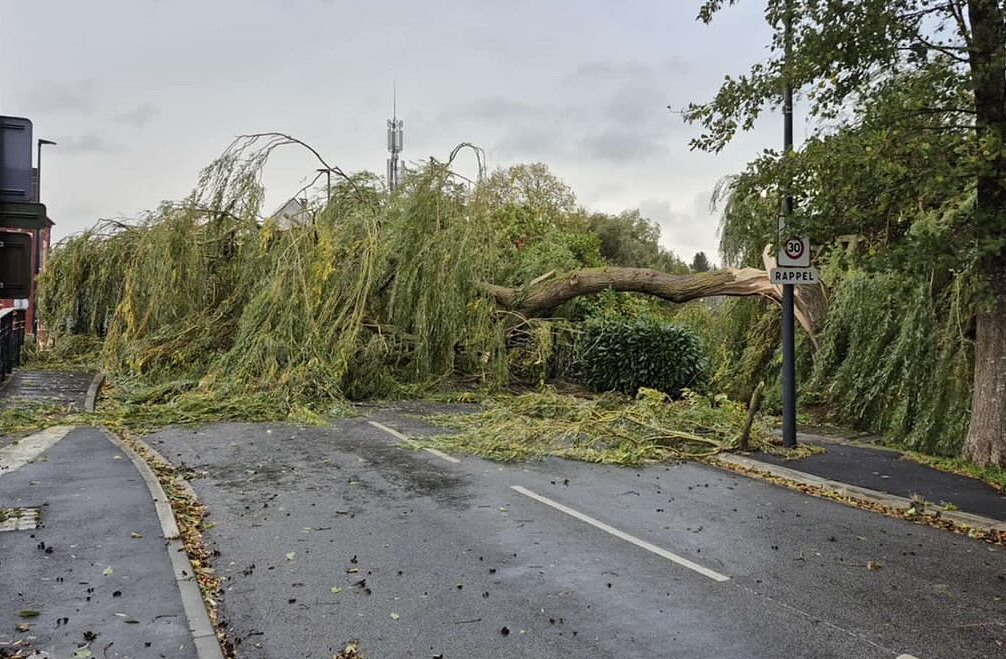 tempesta benjamin francia