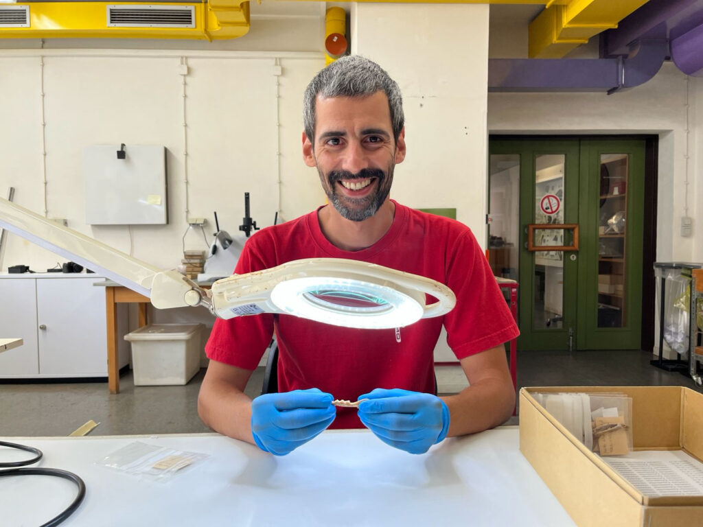 studio gatti tor vergata