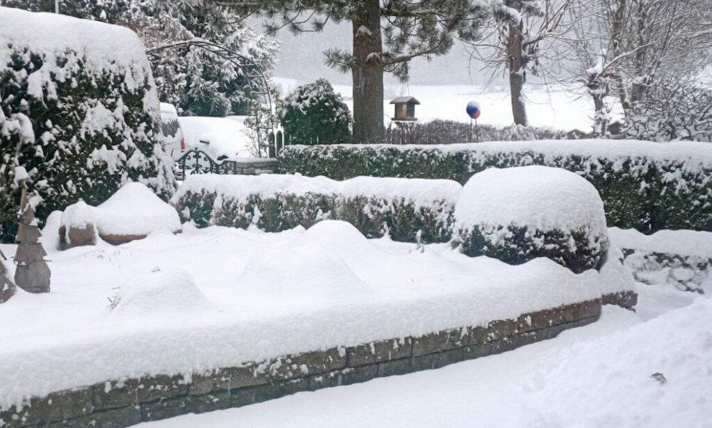 neve trentino alto adige