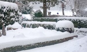 neve trentino alto adige