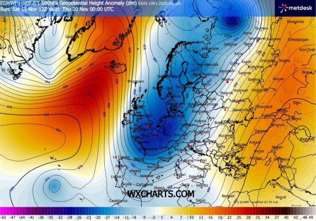 Arctic cod blast Italia
