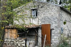 Famiglia bosco Palmoli