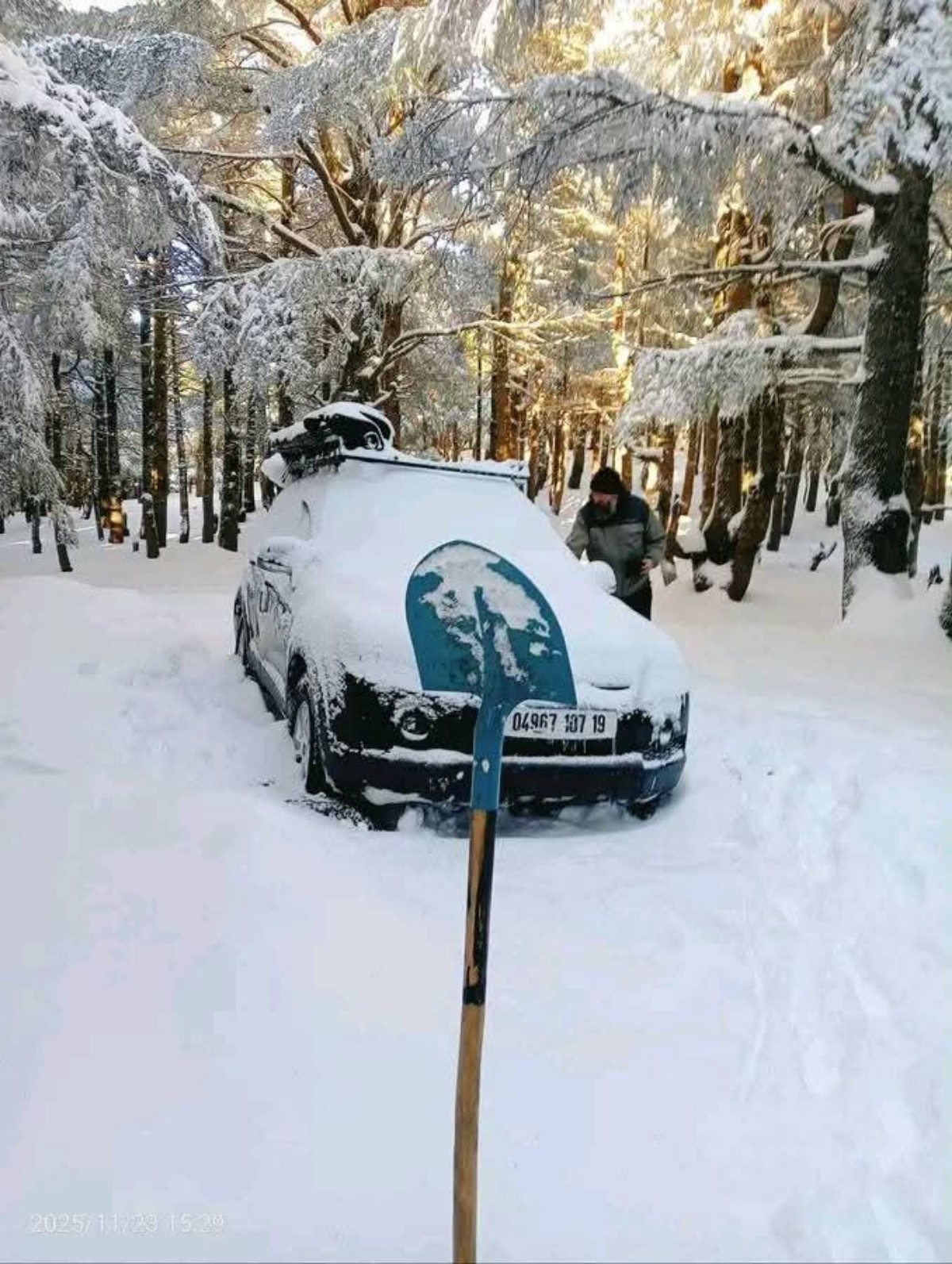 Neve Algeria disagi