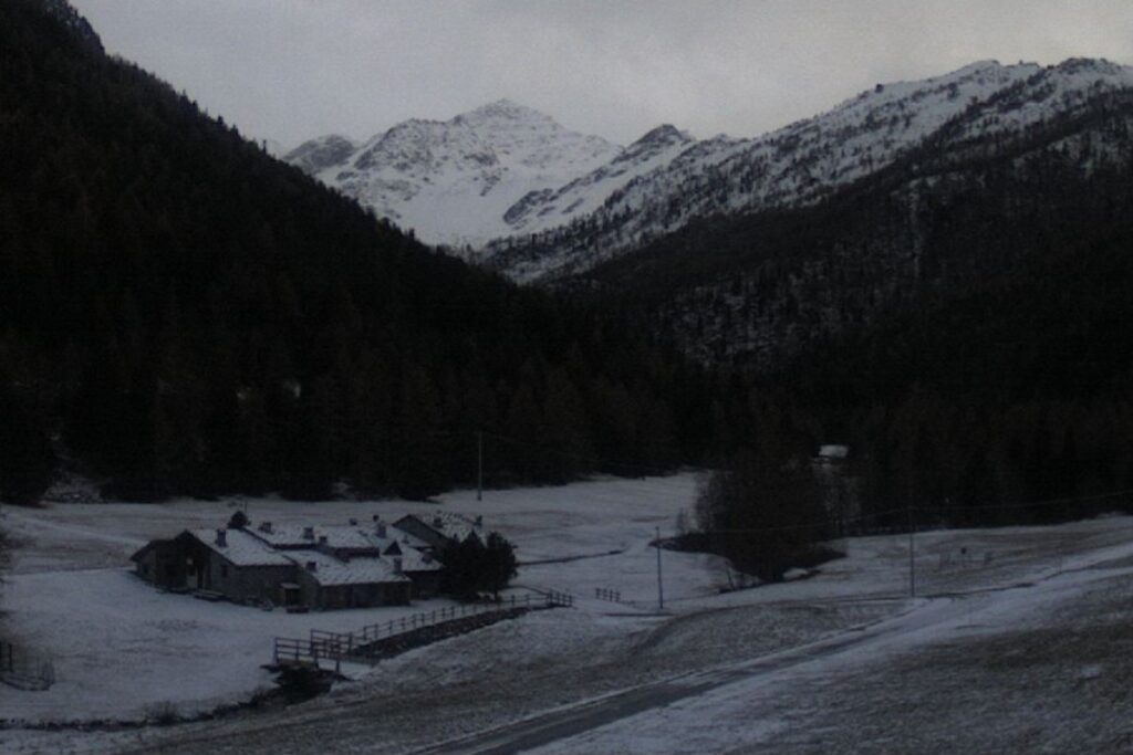 Neve Arpy
