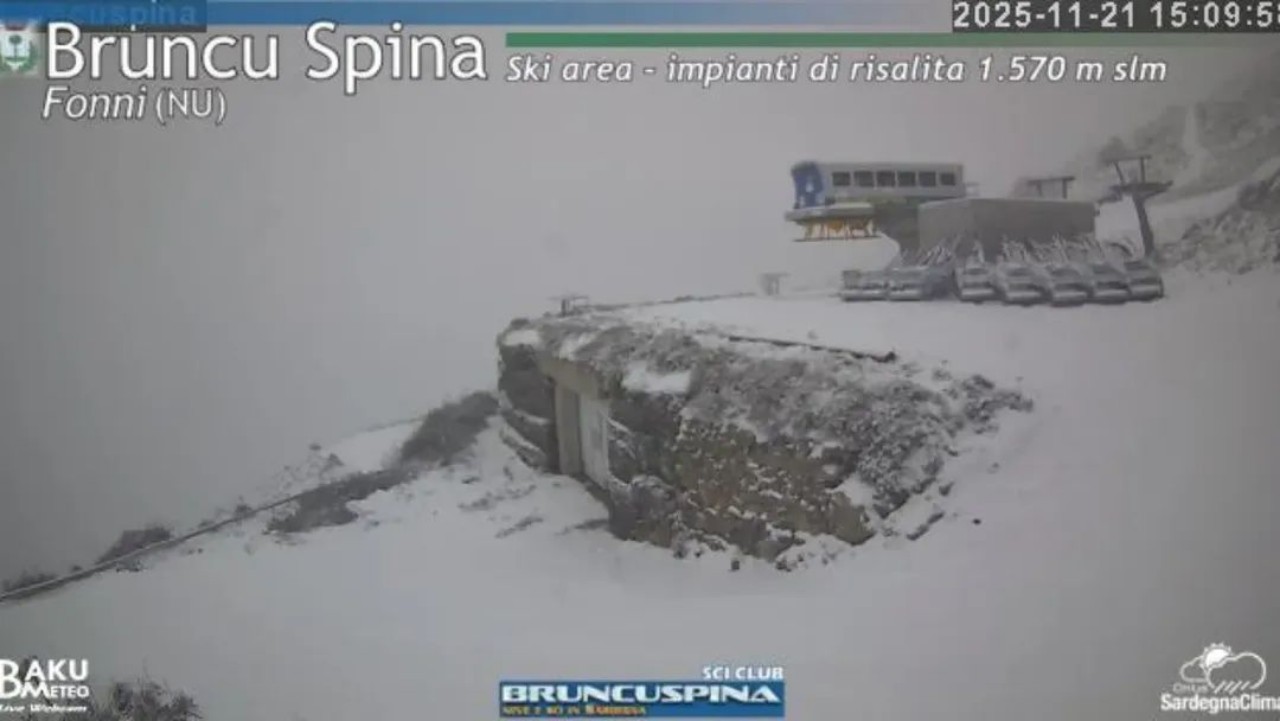 Neve Bruncu Spina