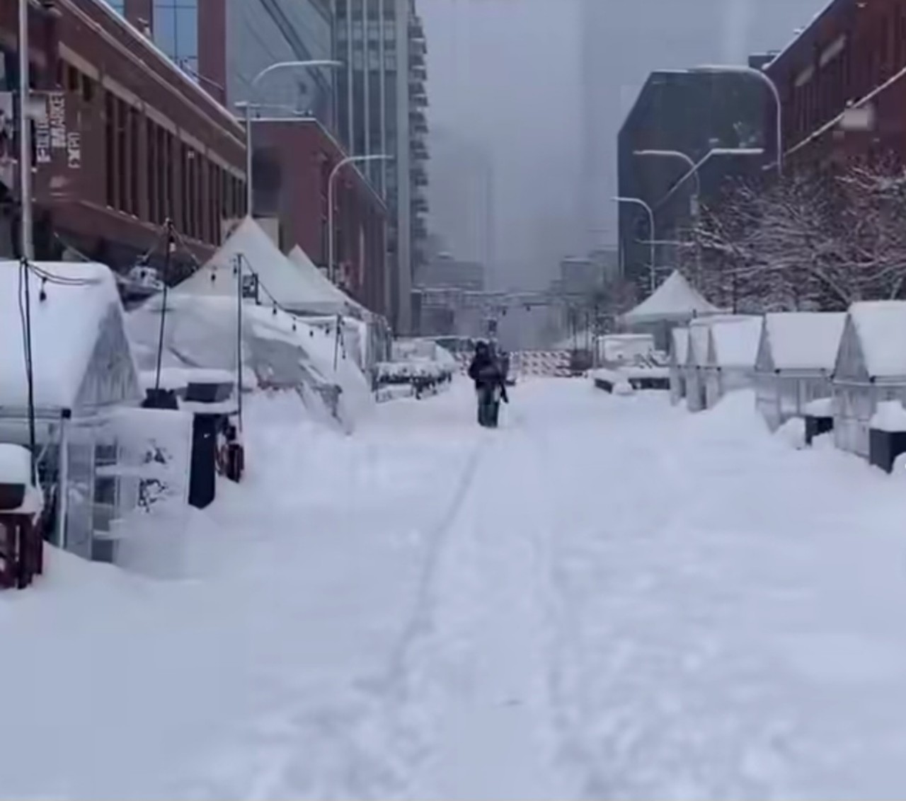 Neve Chicago