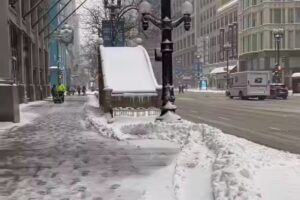 Neve Chicago