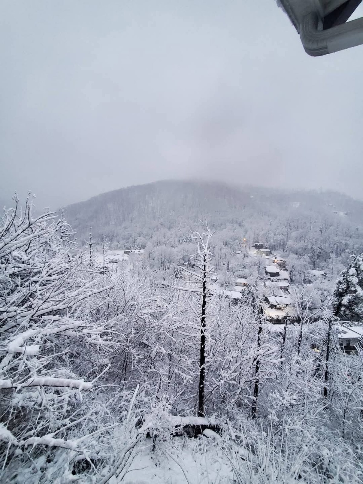 Neve Gatlinburg USA