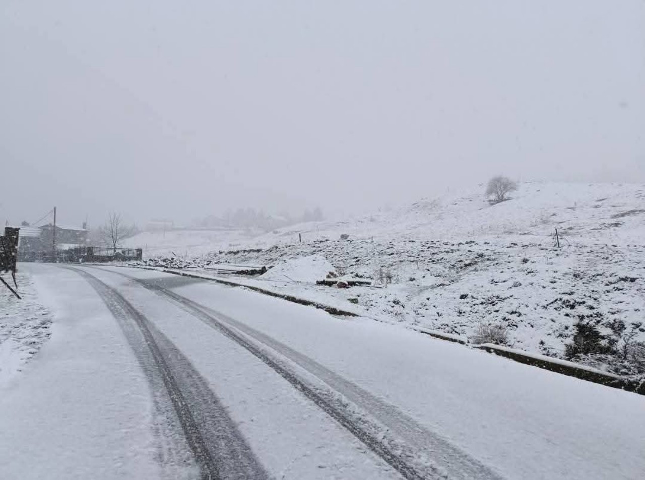 Neve Grecia Samarína 
