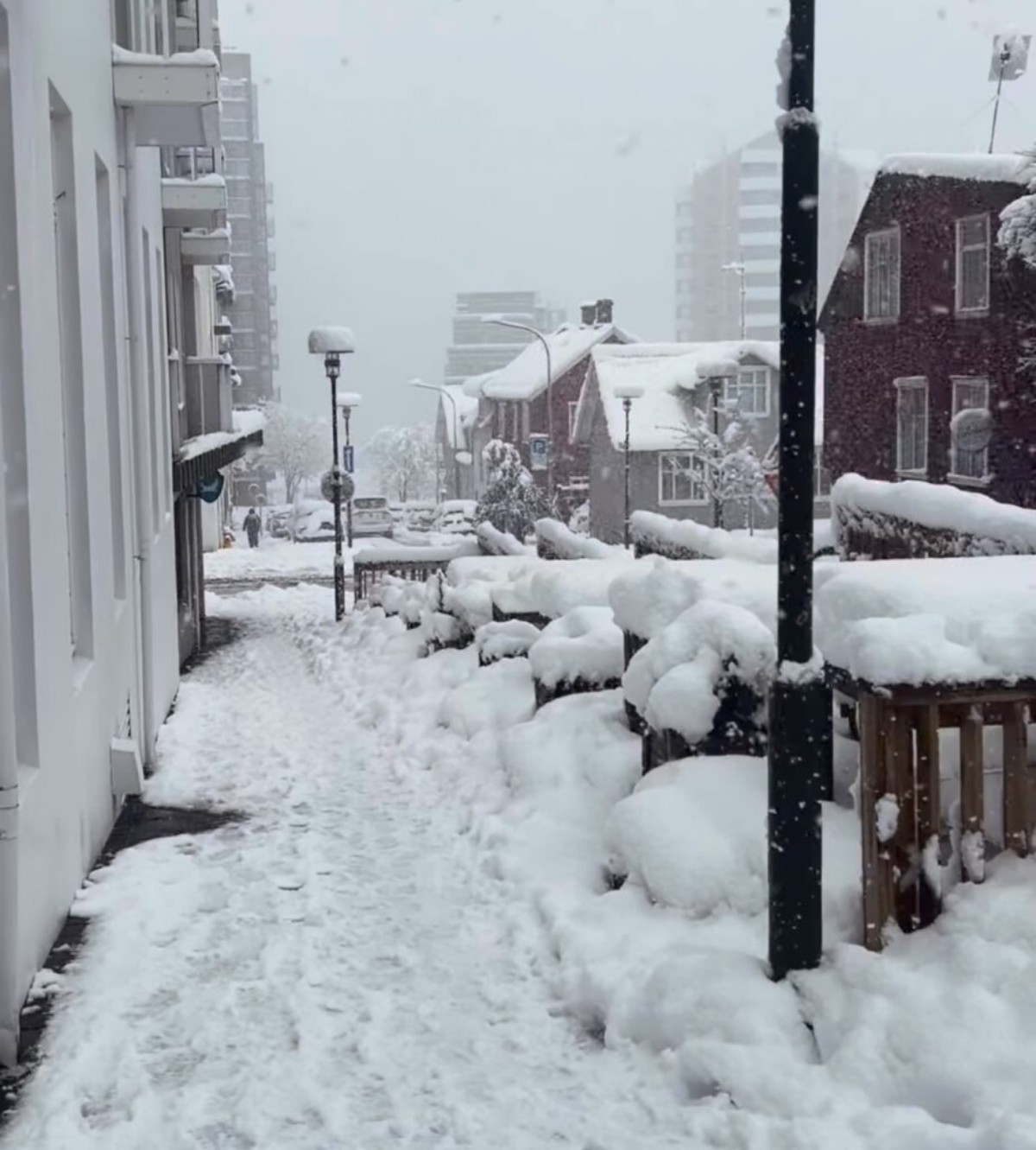 Neve Reykjavík