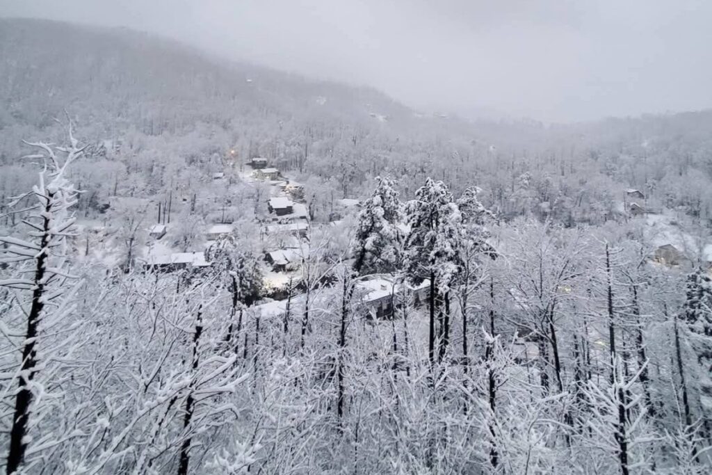 Neve Tennessee