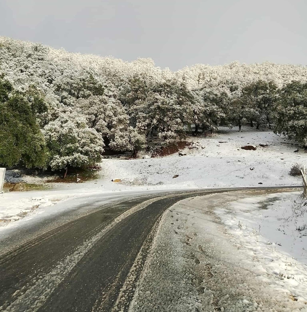 Neve Tunisia 22 novembre 