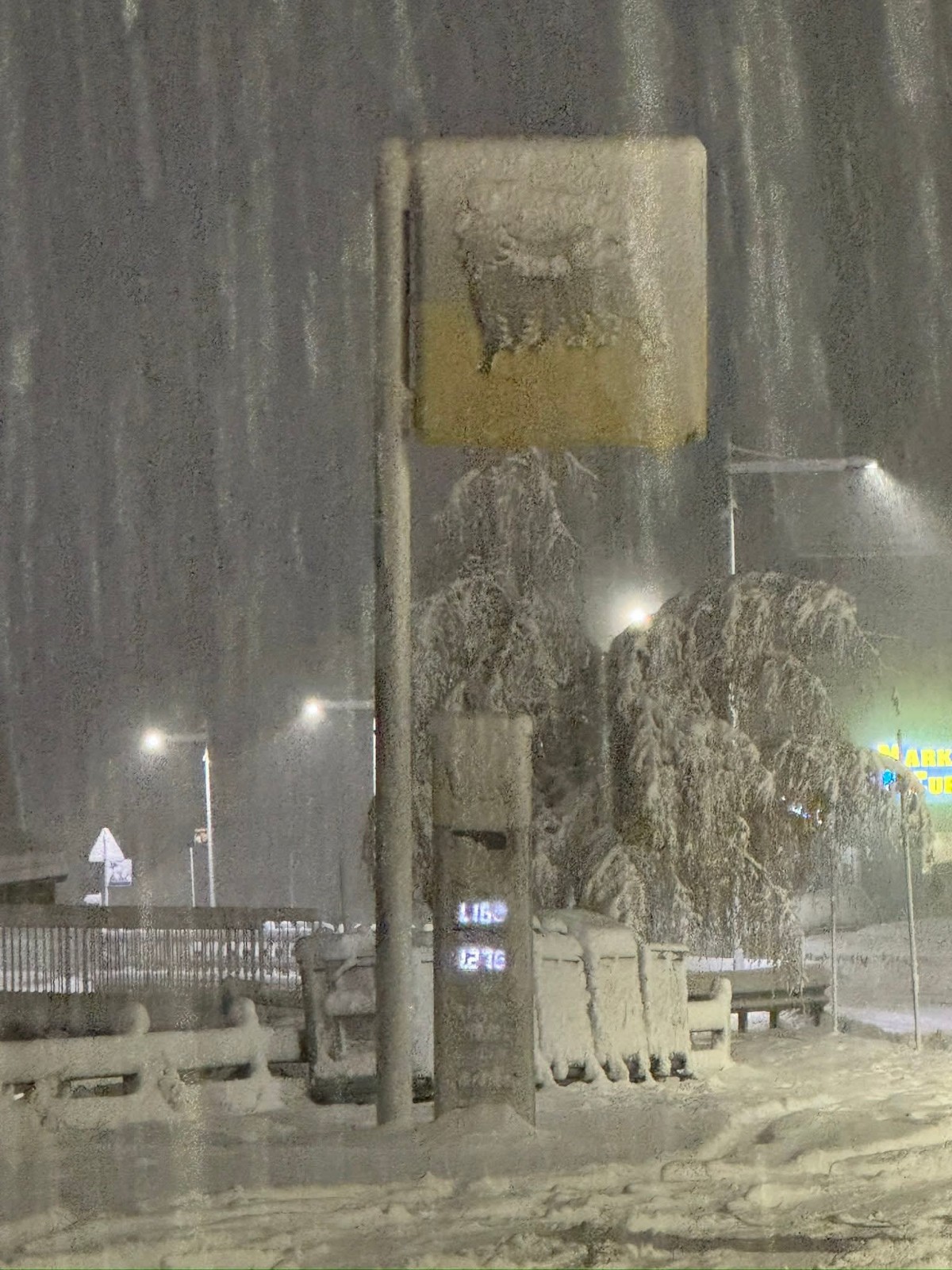 Neve Passo del Foscagno 