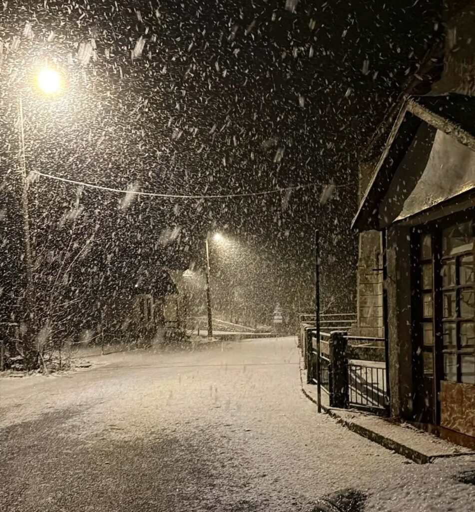 neve liguira