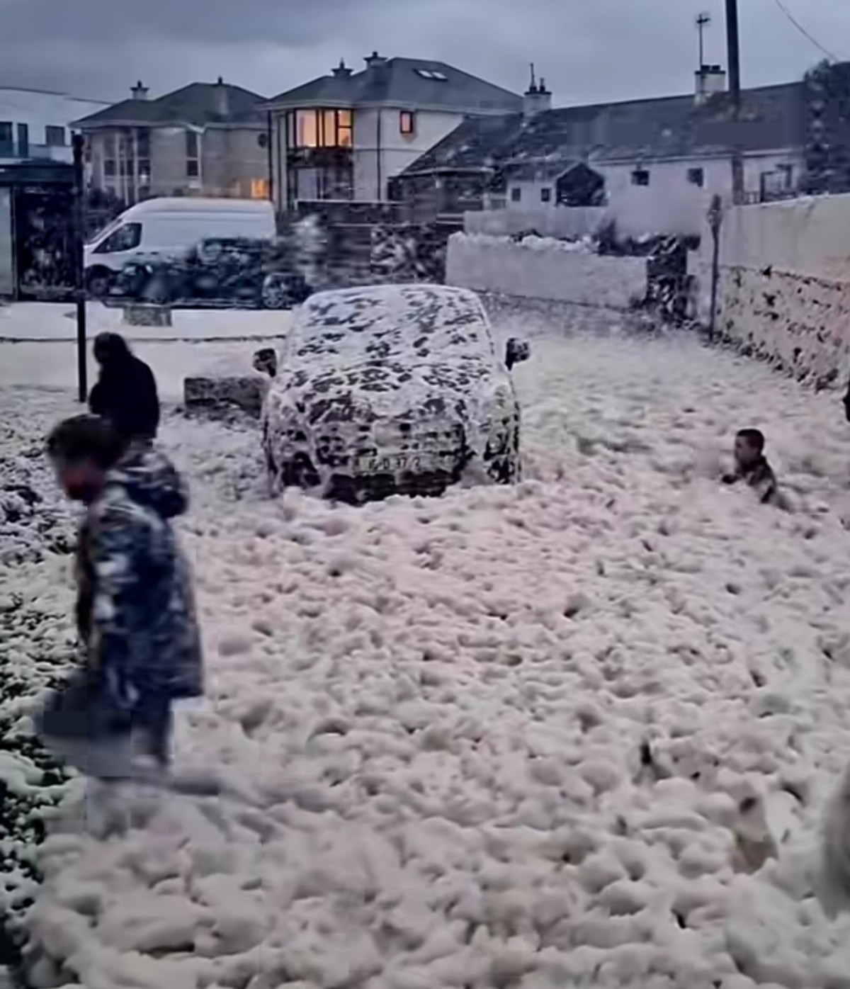 Schiuma marina Loughshinny 