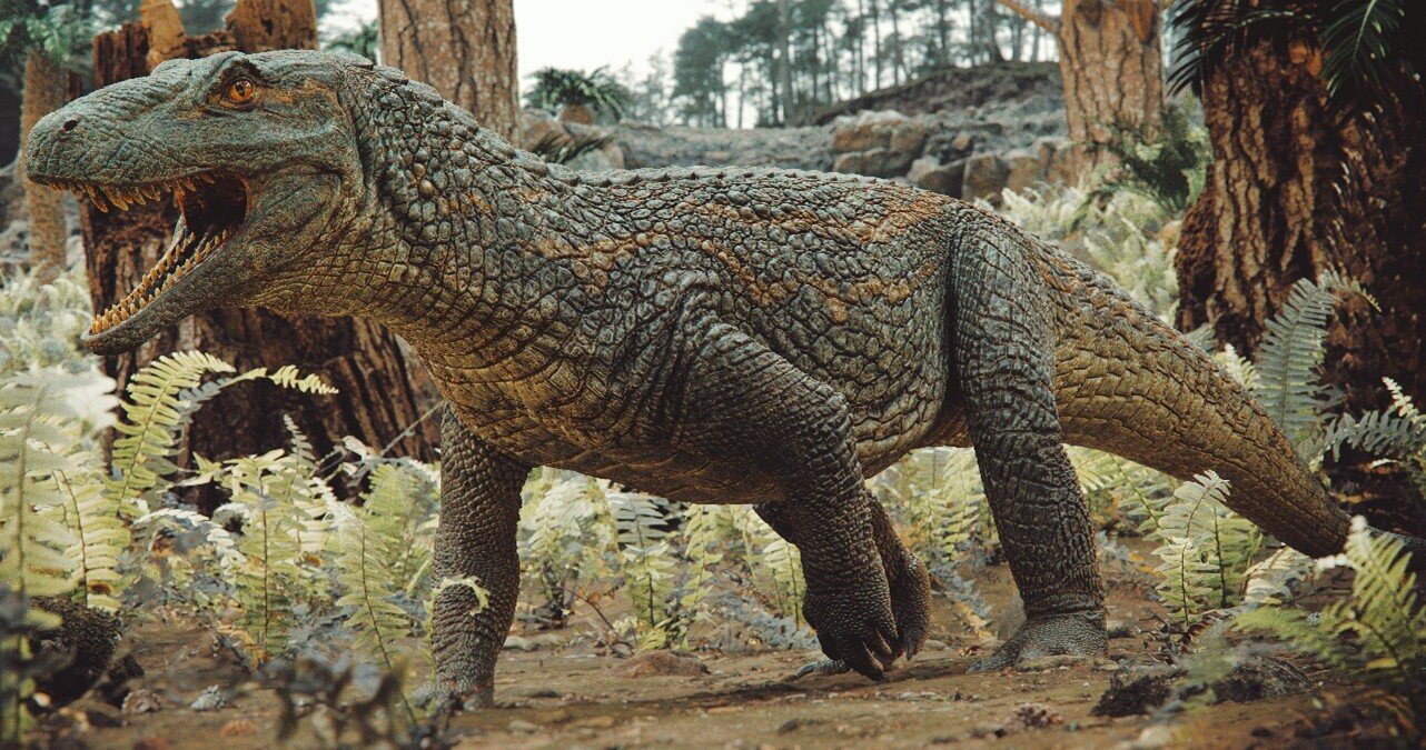 Scoperto un predatore precursore del coccodrillo che somigliava ad un dinosauro