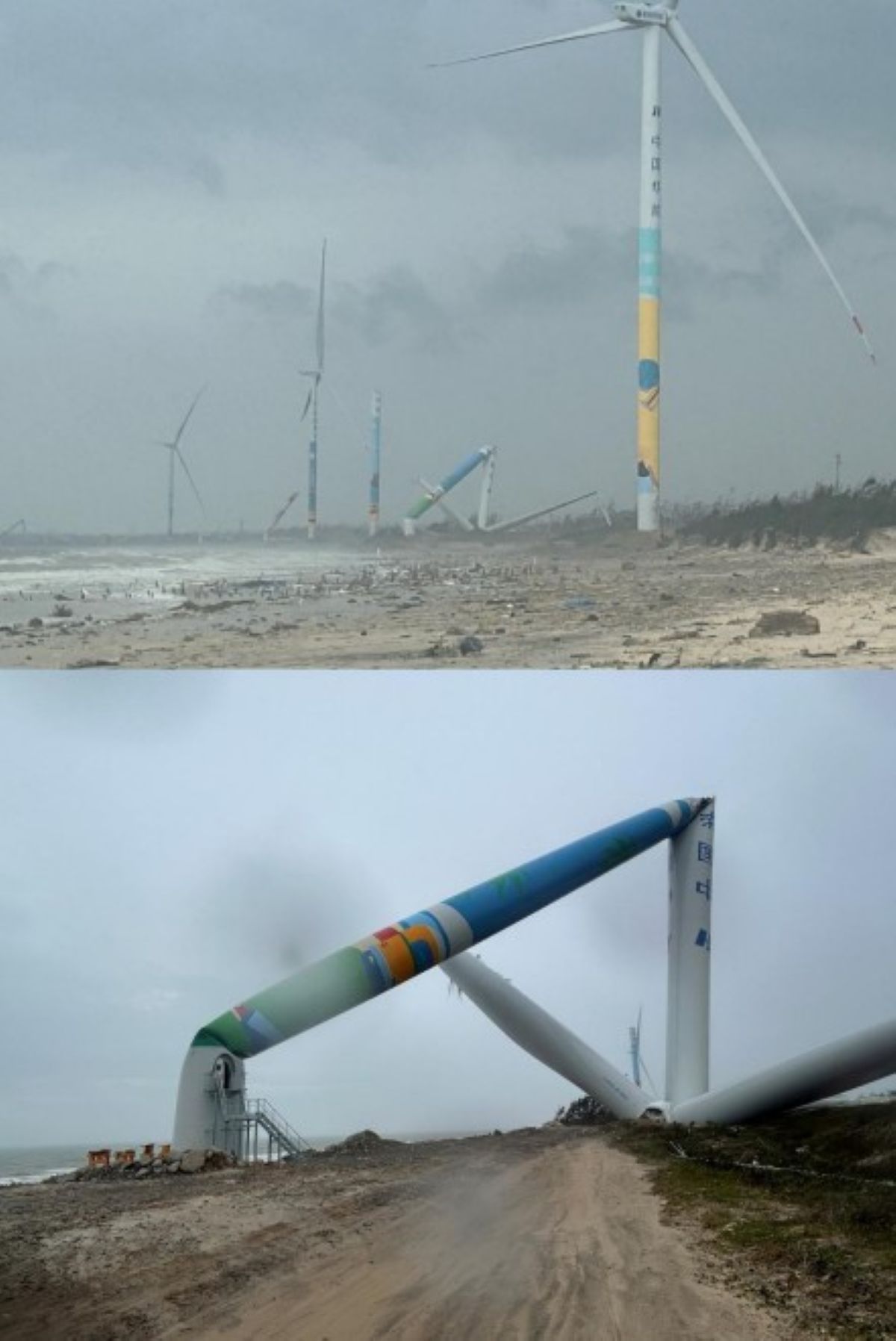 Turbine eoliche