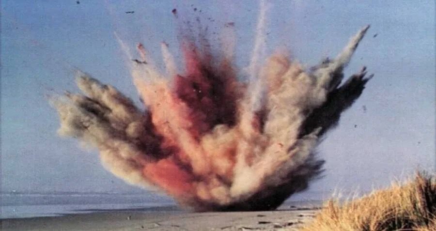 Il 12 novembre 1970 in caso della “balena esplosa” in Oregon