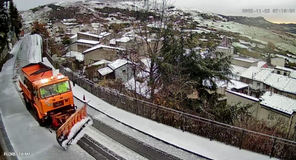floresta neve