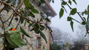 gelicidio emilia romagna