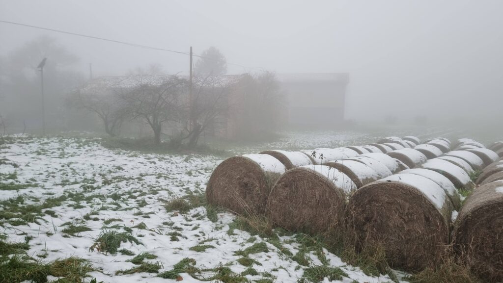 gelicidio emilia romagna