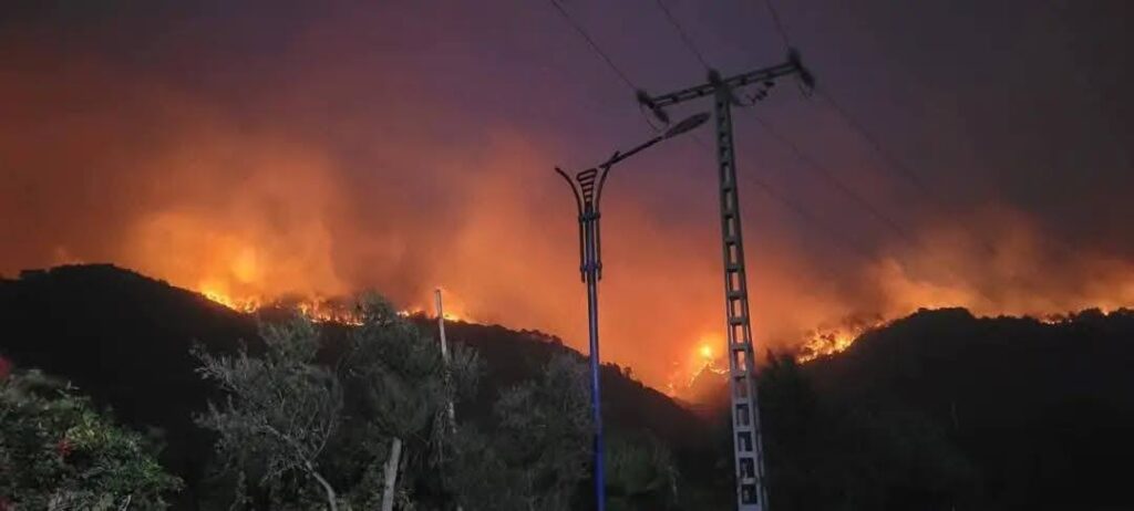 incendi algeria