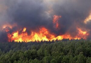 incendio foreste iran