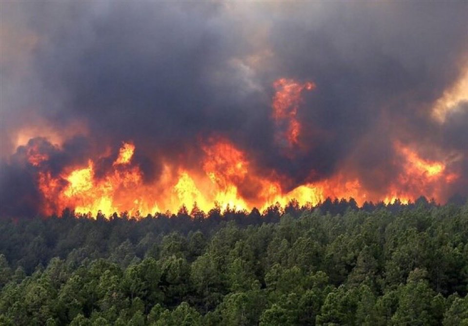 incendio foreste iran