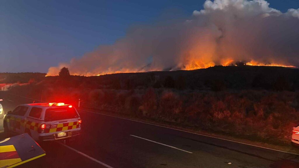 incendio nuova zelanda