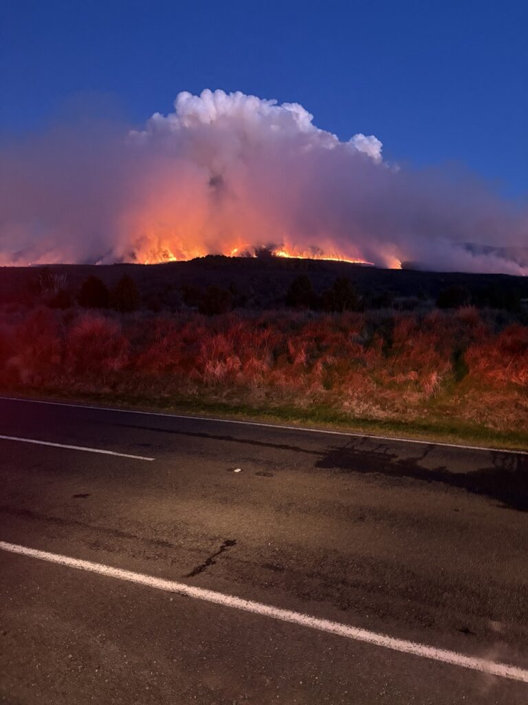 incendio nuova zelanda