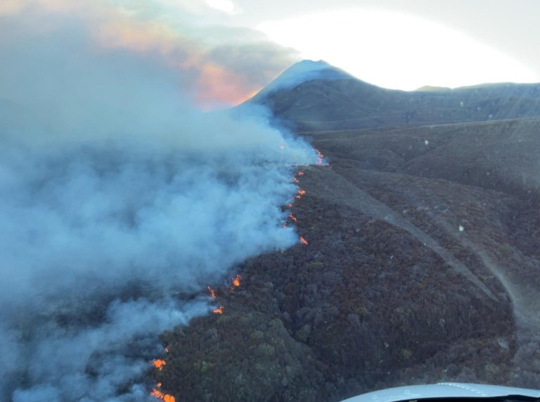 incendio nuova zelanda