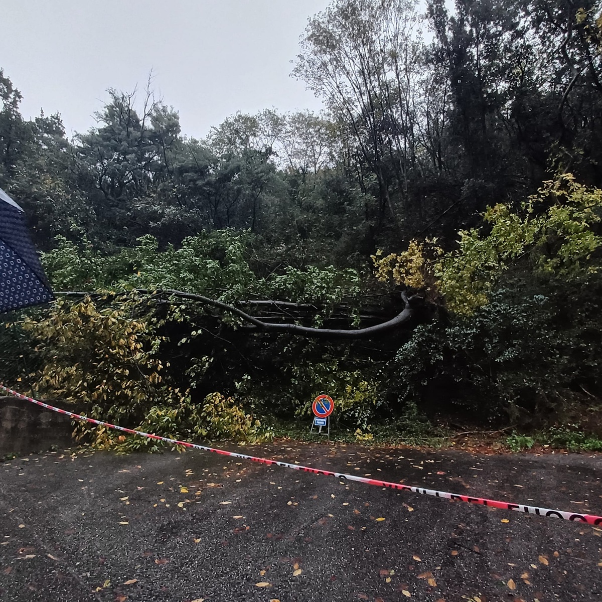 Maltempo Liguria: 122 richieste di intervento da stamattina a Genova, è allerta frane