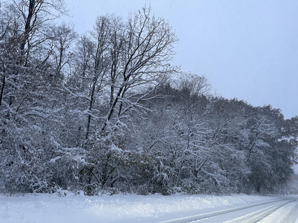 maltempo neve wisconsin usa