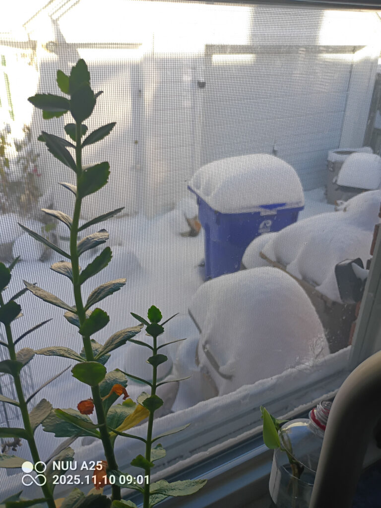 maltempo neve wisconsin usa