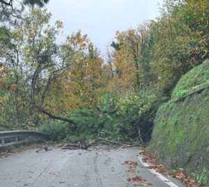 maltempo versilia toscana