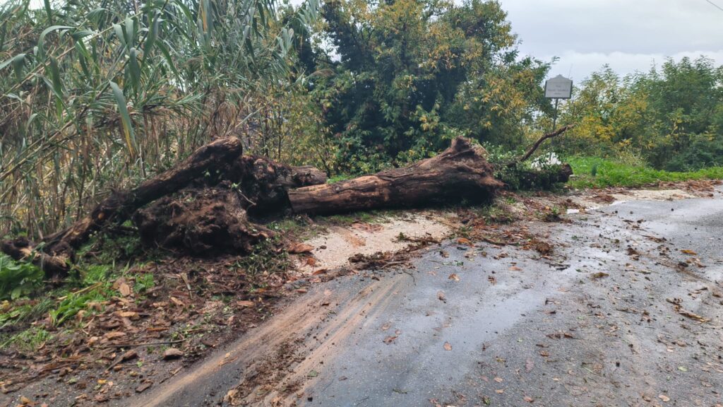 maltempo versilia toscana