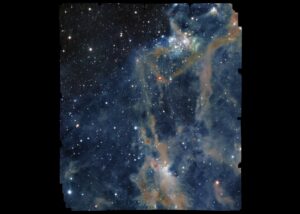 nebulosa orione euclid