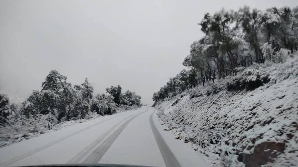 neve algeria