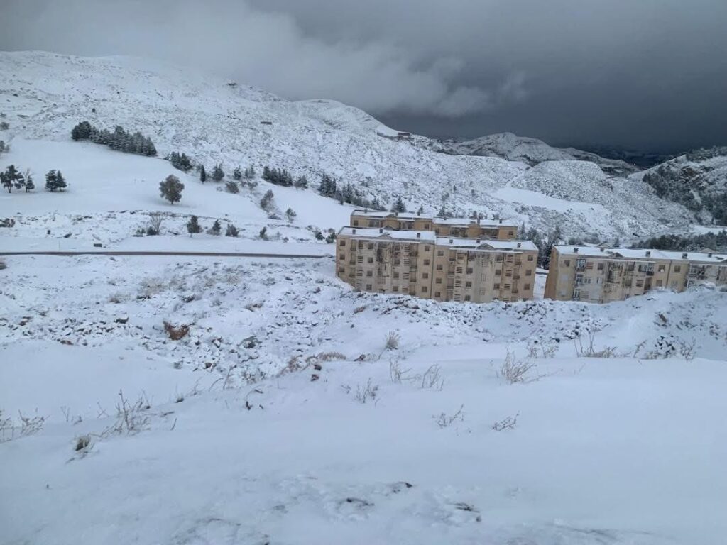neve algeria