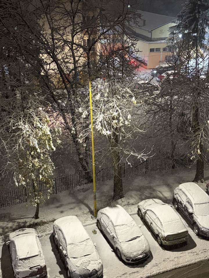 neve bosnia