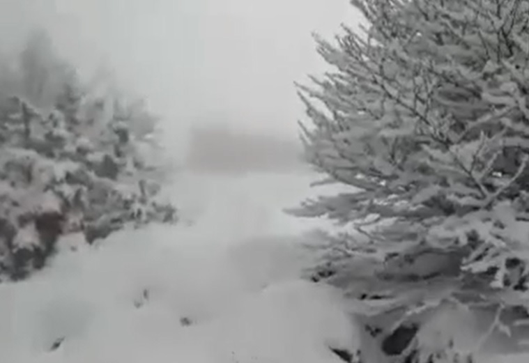 Maltempo Campania: neve e pioggia trasformano il Pizzo San Michele | VIDEO
