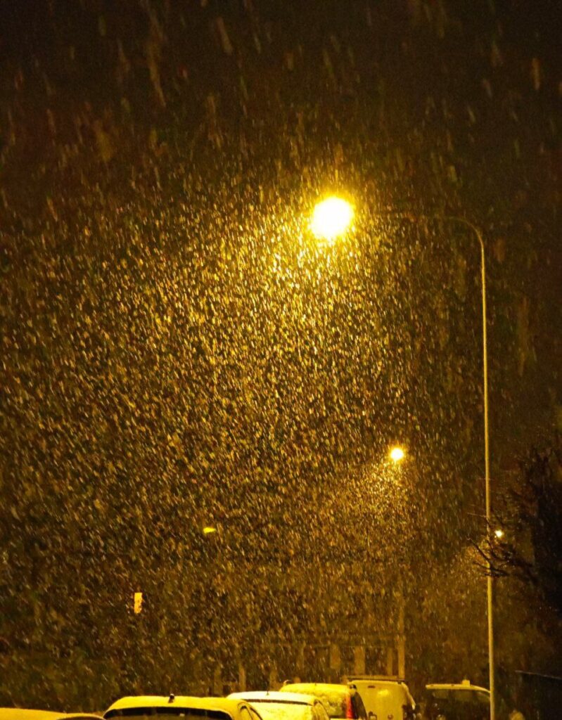 neve cuneo