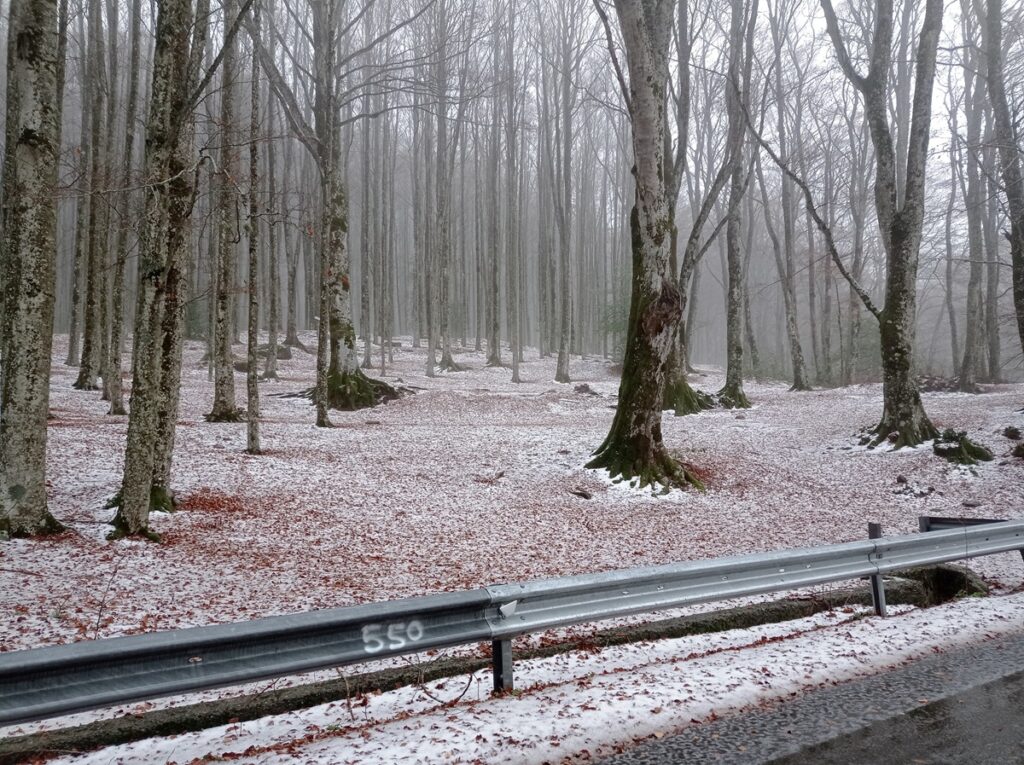 neve gambarie calabria