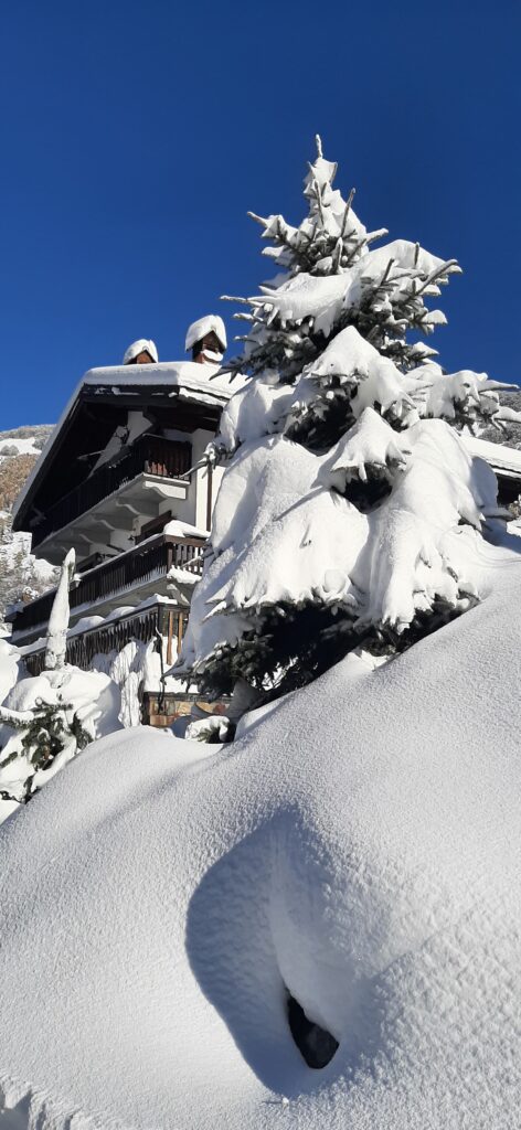 neve limone piemonte